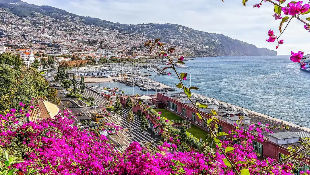 Funchal seen from the Quinta Vigia gardens