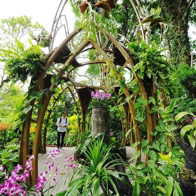 Singapore: National Orchid Garden Admission Ticket