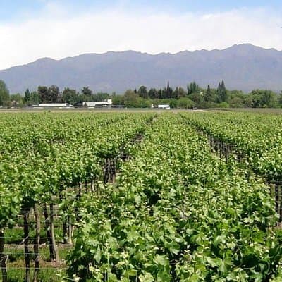 South Wine Route