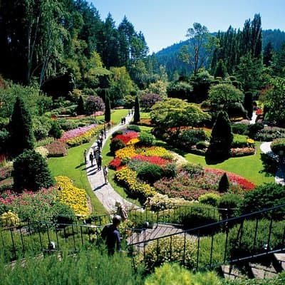 Desde Vancouver : Victoria, Butchart Gardens, & Crucero por las Islas del Golfo
