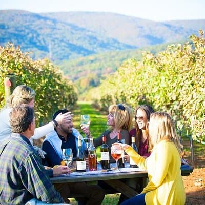 Maipo Valley Wine Tour: 4 Wineries, Great Views, Fun Tastings