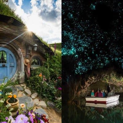 Hobbiton & Waitomo Caves Guided Day Trip from Auckland incl lunch