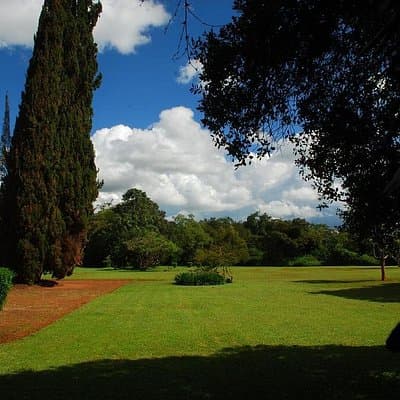 Out of Africa Tour: Giraffe Centre and Karen Blixen Museum from Nairobi