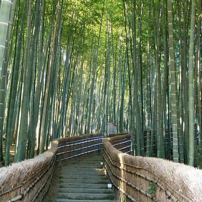 Private Highlights of Kyoto Tour