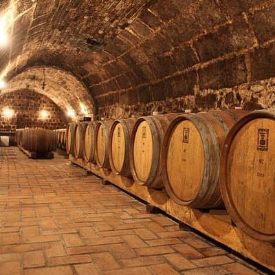 Countryside Half-day Gastro-Wine Tour from Budapest Meal & pickup
