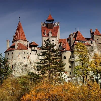 Bran (Dracula) Castle, Bear Sanctuary, Rasnov Fortress & Palinca Distillery