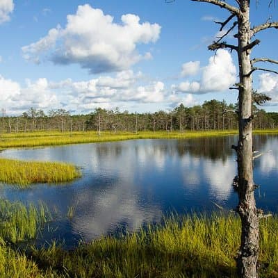 Une journée au Parc national de Lahemaa