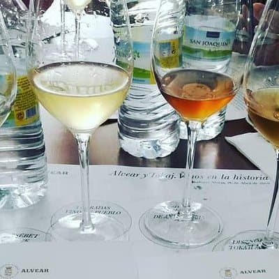 Evening Wine Tasting Córdoba