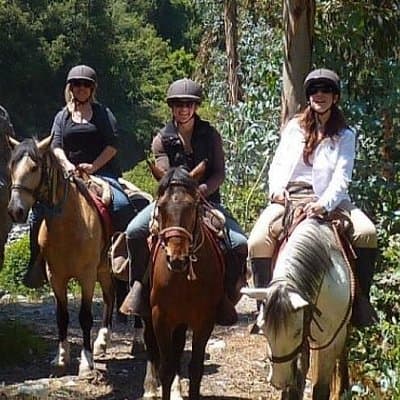 Horseback Riding Plus Tour to Sacsayhuaman, Quenqo, Puka Pucara and Tambomachay