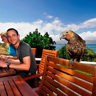 Visita guiada clásica de un día a la isla Kapiti