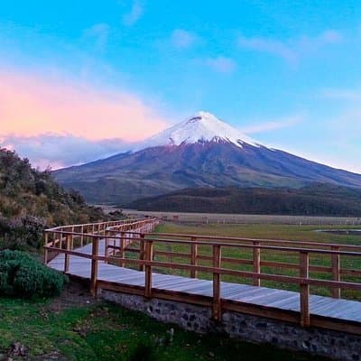 Cotopaxi Full-Day from Quito Including Entrances