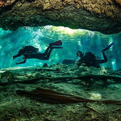 Go for 2 dives in cenote Dos ojos for certified divers