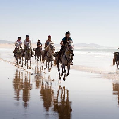 2-Hour Beach & Dunes Horse Ride in Essaouira (Day or Sunset)