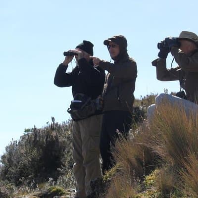 Birdwatching Tour in Cajas National Park from Cuenca