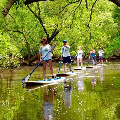 Byron Stand Up Paddle Nature Tour