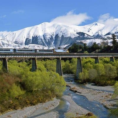 Arthur's Pass National Park Day Tour with TranzAlpine Train