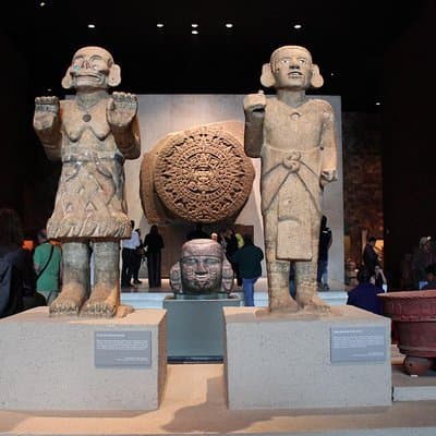 Anthropology Museum Guided Tour