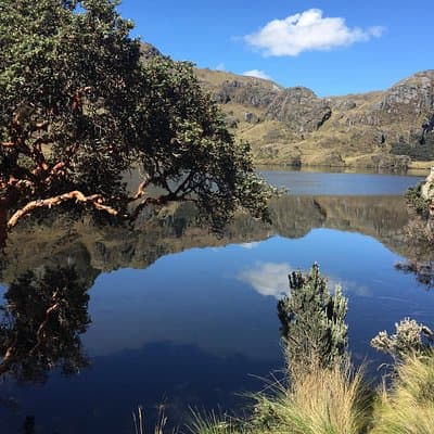 Cajas Unveiled: A Half-Day Escape from Cuenca