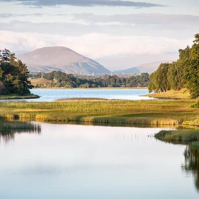 Cairngorms & Whisky Day Tour from Inverness Including Admission