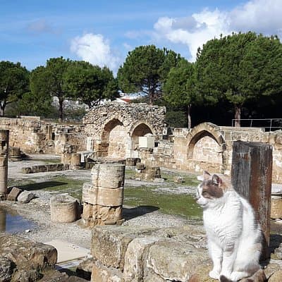 Ancient City Of PAPHOS