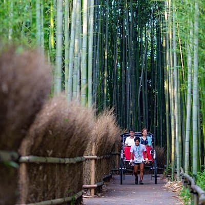 Kyoto Arashiyama Rickshaw Tour with Bamboo Forest