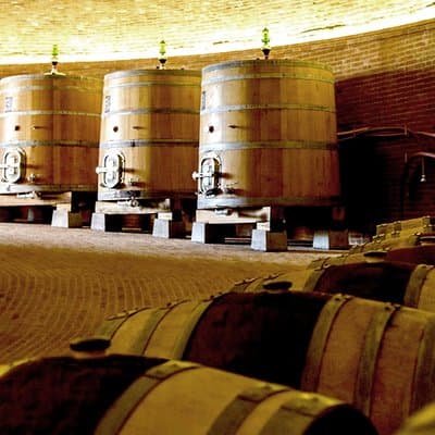 Small-Group Brunello di Montalcino Wine-Tasting Trip from Siena