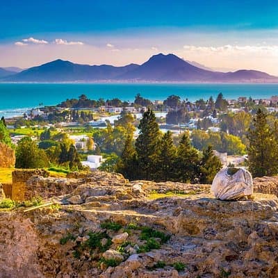 Tunis: Carthage, Bardo Museum, Sidi Bou Said & Medina Group Tour