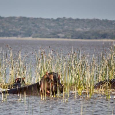 2-Day Maputo Special Reserve Guided Tour