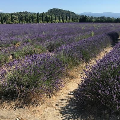 The hilltop villages of the Luberon