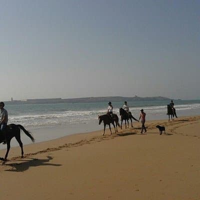 1 hour horse ride on the beach of essaouira