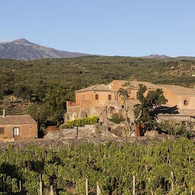 Private 6-Hour Tour of Three Etna Wineries with food&wine tasting