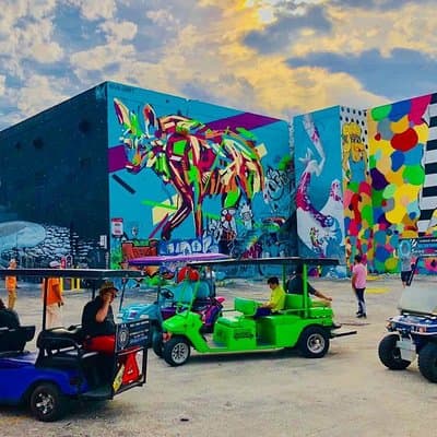 1 Hour WYNWOOD BUGGIES tour