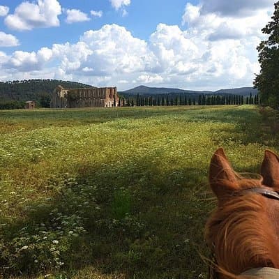 Horse Riding in Tuscany for Experienced Riders: Full-day Trail Ride
