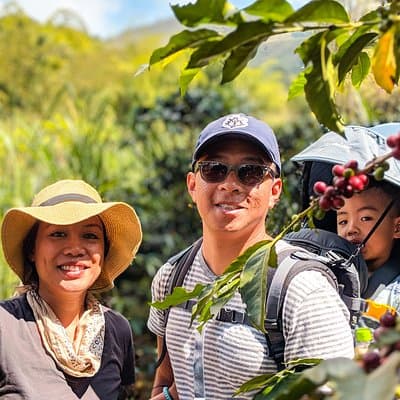Half-Day Coffee Tour: From the Seed to the Cup, Farm & roastery