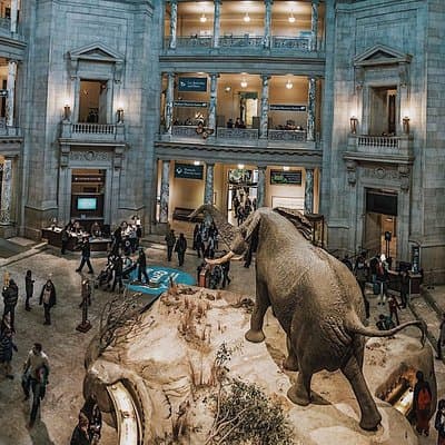 Smithsonian Natural History + Museum of American History 8ppl Max