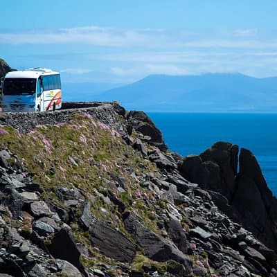 Killarney Super Saver: Dingle and Slea Head Day Trip plus Ring of Kerry and Killarney Lakes Day Trip
