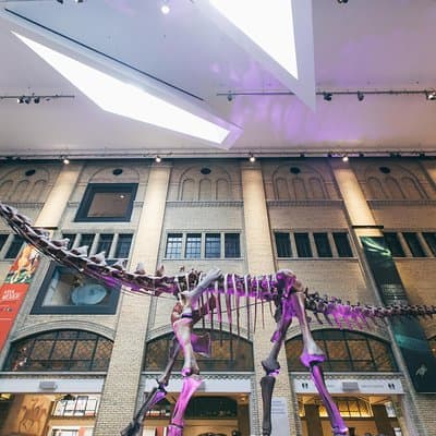 Royal Ontario Museum Admission