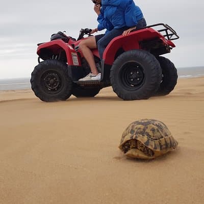 Essaouira P2: dunes wipe & beaches in quad with transfer