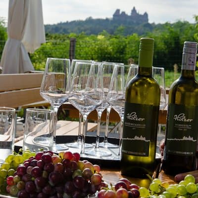 Countryside Half Day Wine Tour near Vienna with meal & transfer