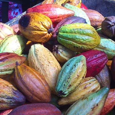 Chocolate and Cobblestones Tour with Taste of San Miguel