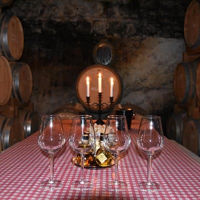 Exclusive Hvar Wine Tour with Scenic Views and Local Wines