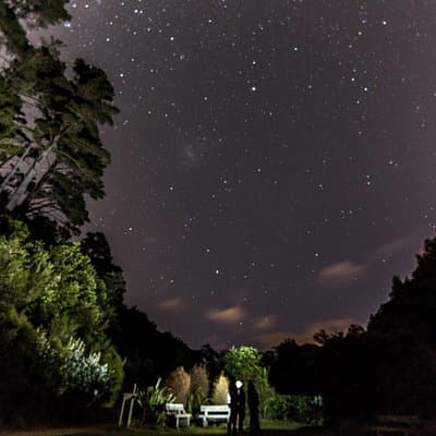 Zealandia Small Group Eco Wildlife Night Tour