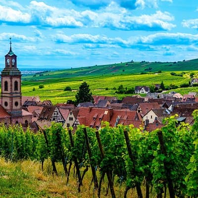 Alsace Half Day Wine Tour from Colmar