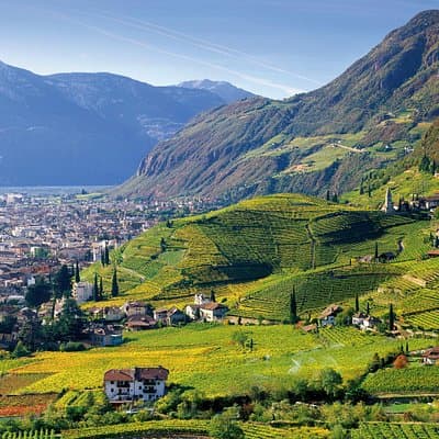 Private Tour The ultimate South Tyrol wine & food experience
