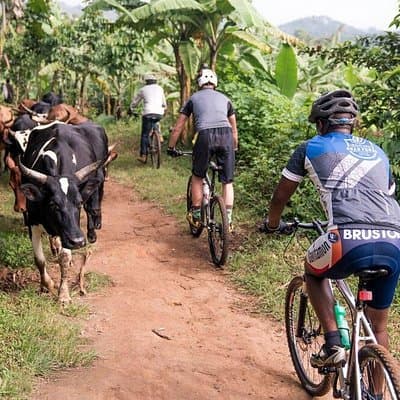Lake Victoria Island Cycling Tour from Kampala