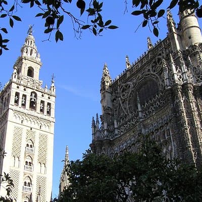 Private Tour: Seville City Tour (Cathedral, Royal Alcázar and Santa Cruz)