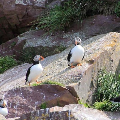 Inverness: John O'Groats, Dunrobin Castle & the Far North