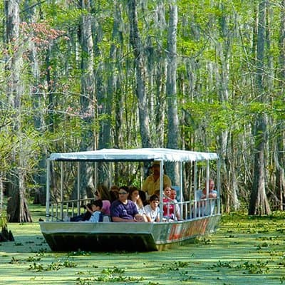 New Orleans Swamp and Bayou Boat Tour with Transportation