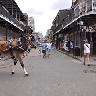 New Orleans French Quarter and More Carriage Ride