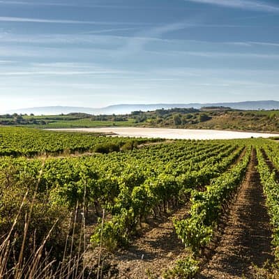La Rioja wines and Laguardia tour from Bilbao